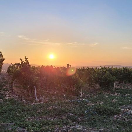 Le Willow Chateauneuf-du-Pape Exterior photo