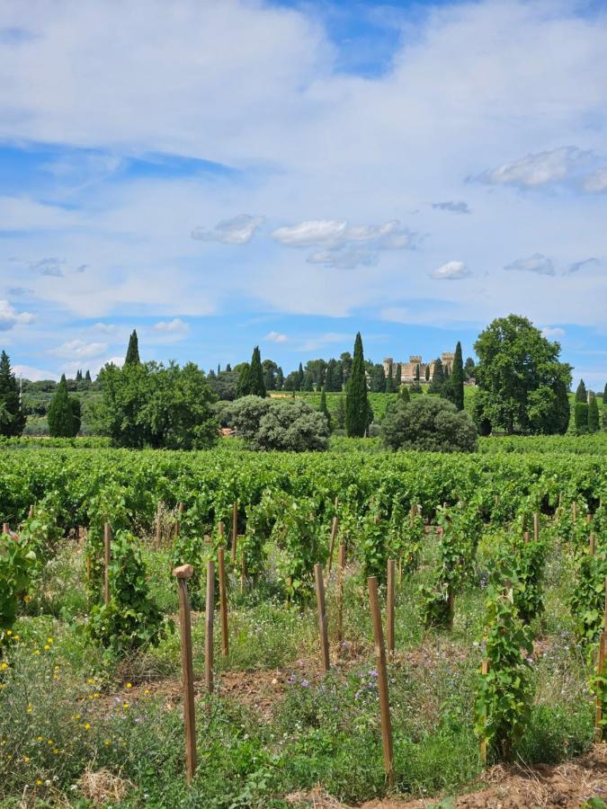 Le Willow Chateauneuf-du-Pape Exterior photo